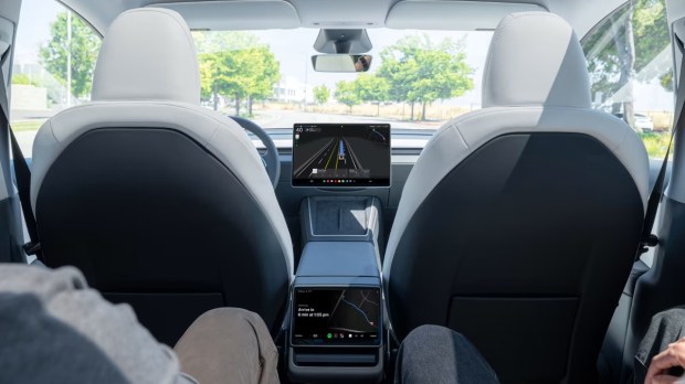 Tesla Robotaxi