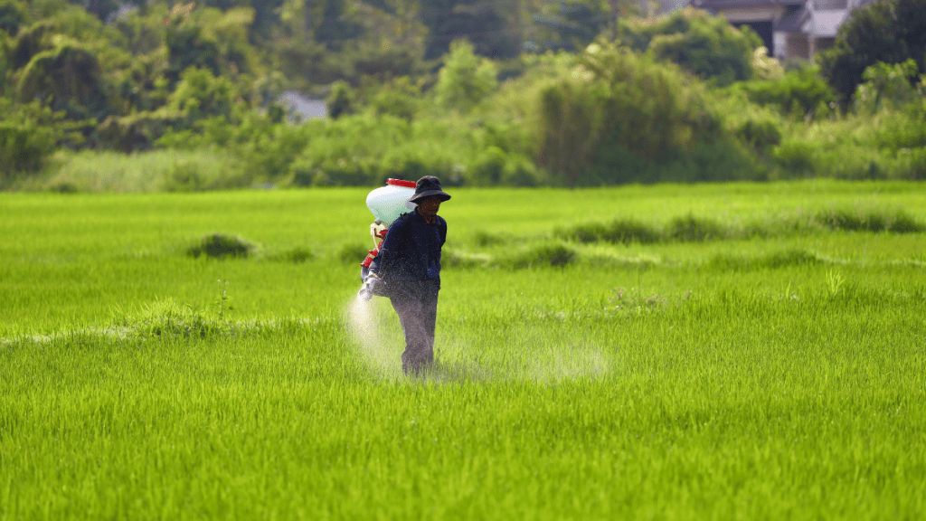 India's Farmers Raise Alarm as US Trade Deal Threatens "Sensitive" Agri-Sectors. (Image Source: Canva)