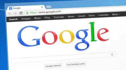Google AI hallucination