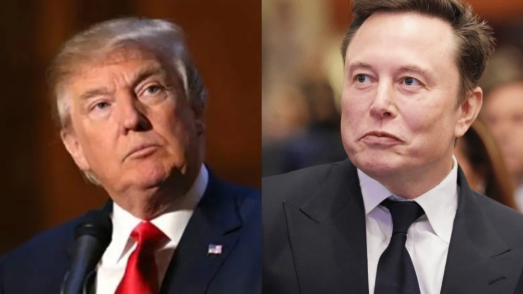 Trump counters Elon's 'reduce spending' rocket with 'subsidy' missile, '...head back to South Africa'