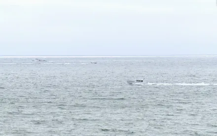 San Diego Plane Crash: All 6 passengers killed after small aircraft plummets into ocean (Photo: KGTV via AP)