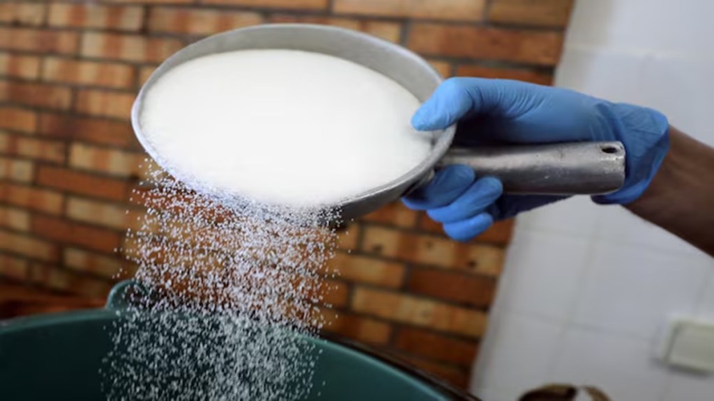 India's Sugar Production Set for 15% Surge in 2025-26 on Strong Monsoon, Boosting Ethanol & Export Prospects. (Image Source: Reuters)