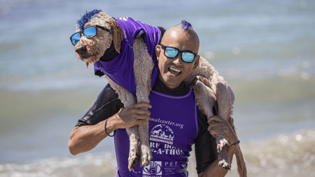 Apart from surfing, the one-day event will also include other activities such as a 