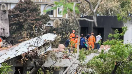 air india crash report, aaib probe, aaib crash report, fip, pilots association, indian pilots body, ai 171 crash, aviation news