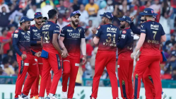 RCB edges past CSK in brand value: Houlihan Lokey
