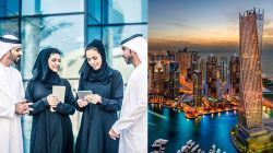 Which university degrees lead to the highest and lowest salaries in the UAE?