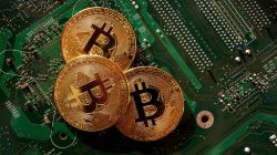The great bitcoin debate at Rs 1 crore: Who to believe – The billionaires or the professors?
