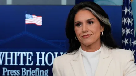 Tulsi Gabbard Obama intelligence report