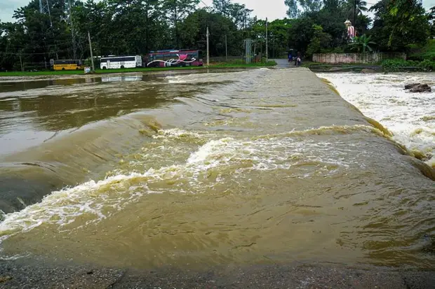  East India is expected to face disruptions. As per the IMD notification, Odisha, Bengal, and Jharkhand are projected to receive heavy rainfall, especially from July 13 to 15. (Photo source: (Photo source: PTI)