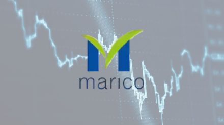 FMCG, Marico, volume growth, revenue growth, inflation, margins, price hike, input costs, copra prices, gross margin, Saffola Oil, Parachute, Value Added Hair Oils