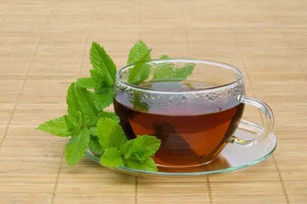 June Tea: A gentle type of kombucha made from honey and green tea, and is good for sensitive stomachs. (Photo source: Canva)