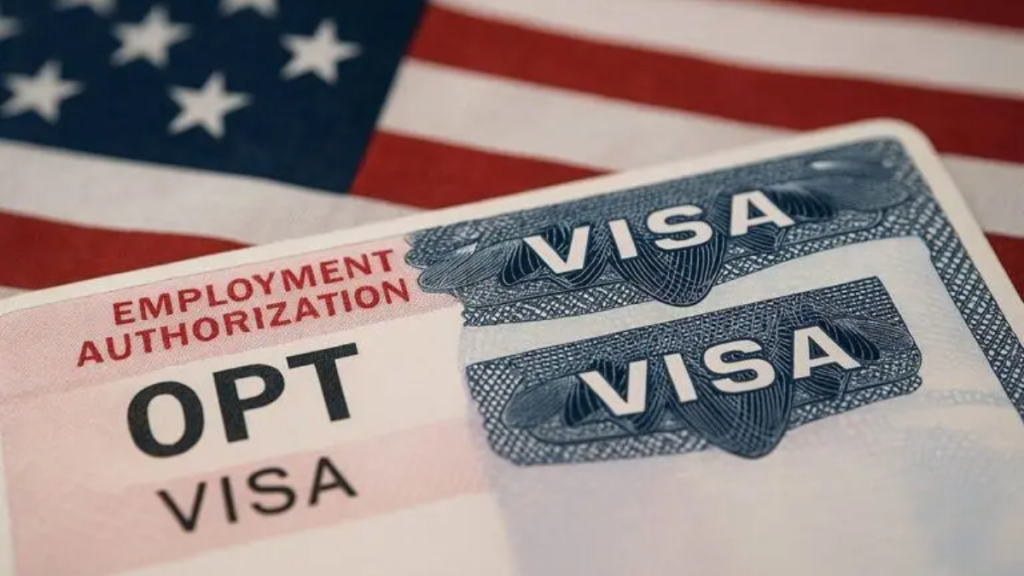 STEM OPT, H-1B visa