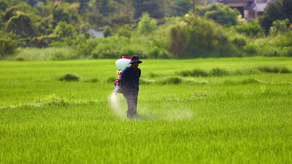 India Firms Stance on Agriculture, GM Crops in US Trade Deal Talks to Protect Farmers. (Image Source: Canva)