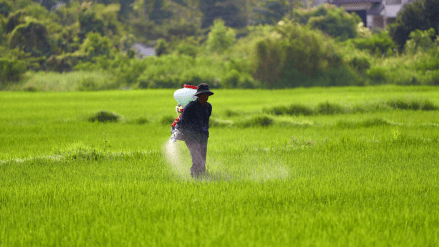 India Firms Stance on Agriculture, GM Crops in US Trade Deal Talks to Protect Farmers. (Image Source: Canva)