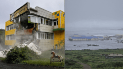 Tsunami panic grips Pacific – The damage caused and what lies ahead
