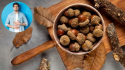 Battling gut issues? Here’s why millennials are ditching pills and choosing Ayurveda to heal their digestion