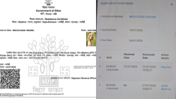 FIR filed after Bihar issues residence certificate to a golden retriever named Dog Babu