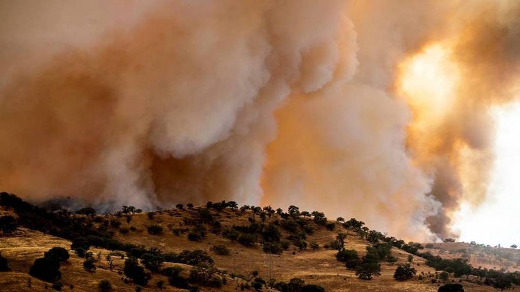 california wildfire