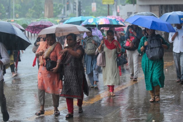 The southwest monsoon continues to surge across India, bringing significant rainfall to multiple regions. The India Meteorological Department (IMD) has issued various alerts as heavy showers, thunderstorms, and localised flooding affect both northern and central areas. The monsoon, which arrived early this year, is expected to maintain its intensity in the coming days. (Express Photo)