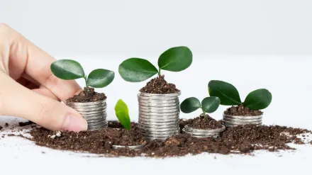 Debt sustainability was positive in FY23: CAG