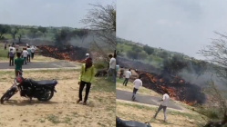 IAF jet crashes in Rajasthan’s Churu, pilot’s body recovered from wreckage: Report