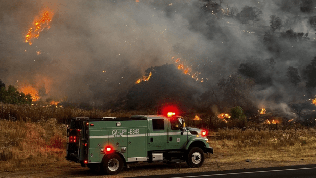A big wildfire is burning out of control in central California, putting hundreds of homes at risk, as per a Reuters report. The fire, called the Gifford Fire, has already injured at least three people. The flames have destroyed over 100 square miles (about 260 square kilometers) of land across Santa Barbara and San Luis Obispo counties. The fire is spreading fast through the Los Padres National Forest, known for its trees, hills, and farmlands. A major highway near Santa Maria has been closed in both directions and as per reports, around 450 buildings are in danger. (Photo Source: Associated Press)