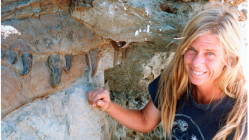On this day in 1990: Discovery of ‘Sue’, the world’s most complete T-Rex fossil – In photos