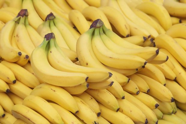 Banana: A fruit among the vast range of dishes, this fruit is considered auspicious and often symbolises the harvested crop. (Image: Canva)