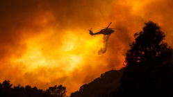 Gifford Wildfire grips California; rips through forests, threatens over 400 homes | In pictures