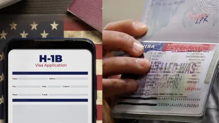 As H-1B debate intensifies, netizens call for scrutiny of legal loophole allowing STEM workers on OPT