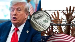 US immigrants face $6.1 billion in fines under Trump deportation orders