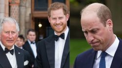 Prince Harry to finally meet King Charles after 20 months, but Prince William bows out
