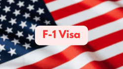 ‘Fumbled with …’: UCSD-bound student’s F-1 visa denied, shares experience on Reddit