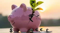 FIIs have sold $23 billion in stocks, but don’t panic. Here’s the real story