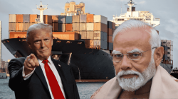 Trump tariff shocker: Which sectors are in the line of fire and ones that dodge disaster?