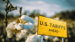 Relief for textile exporters: Govt waives 11% cotton import duty amid tariff heat