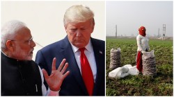India-US agri trade at all-time high despite Trump’s tariff threats