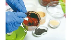 Choko-lab: World’s sweetest indulgence can be grown without cocoa farms