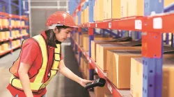 Cold chain firms readying to meet spurt in festive demand