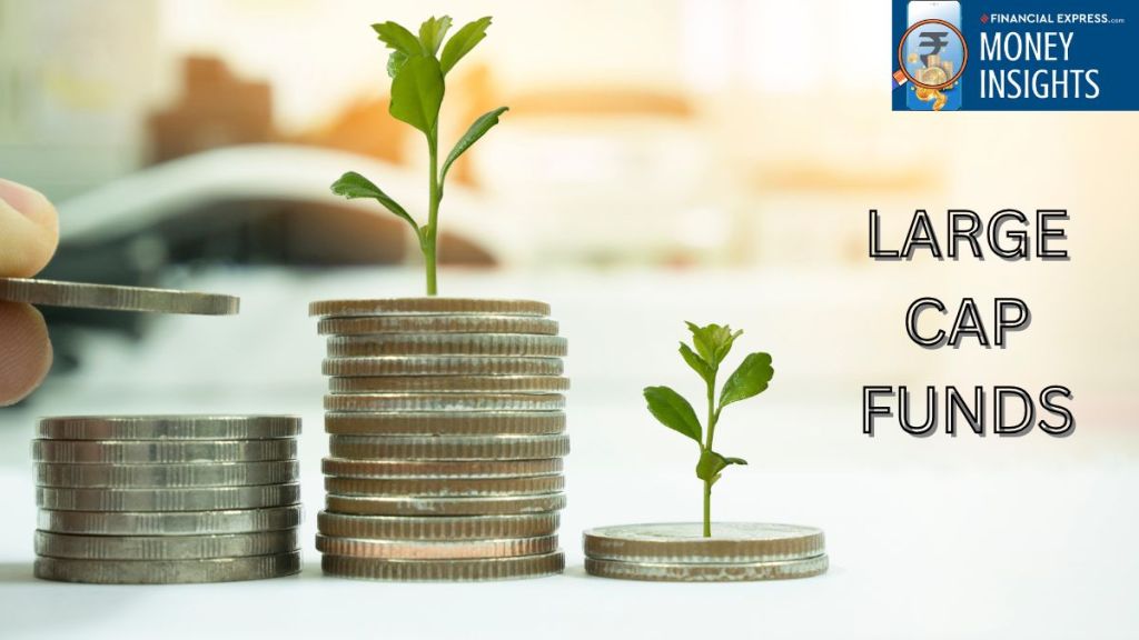 Why All Large-Cap Funds Are Not the Same? (Image Source: Canva)