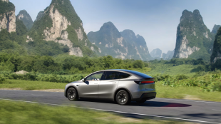 Tesla Model Y L