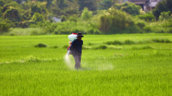 Treat fertiliser sector as ‘strategic’ for Atmanirbharata: House panel