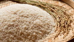 US tariff to slow basmati rice exports, create local surplus