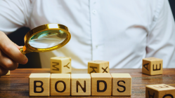 NaBFID’s new product to boost municipal bonds: MD