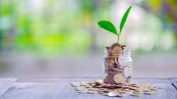 NFOs drive July’s over 1800% jump in thematic funds inflows