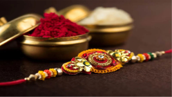Rakhi 2025: Brand campaigns push new narratives for the festival