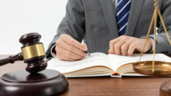 No more lawyer reels? Delhi Bar Council warns against social media fame