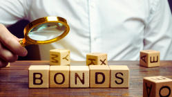 Foreign inflows into govt bonds hit 5-month high