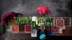 Farm & processed foods exports rise 9% to $8 billion in April-July