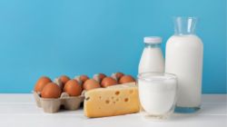7 Vitamin B12 foods you must add to your diet for a healthy brain 
